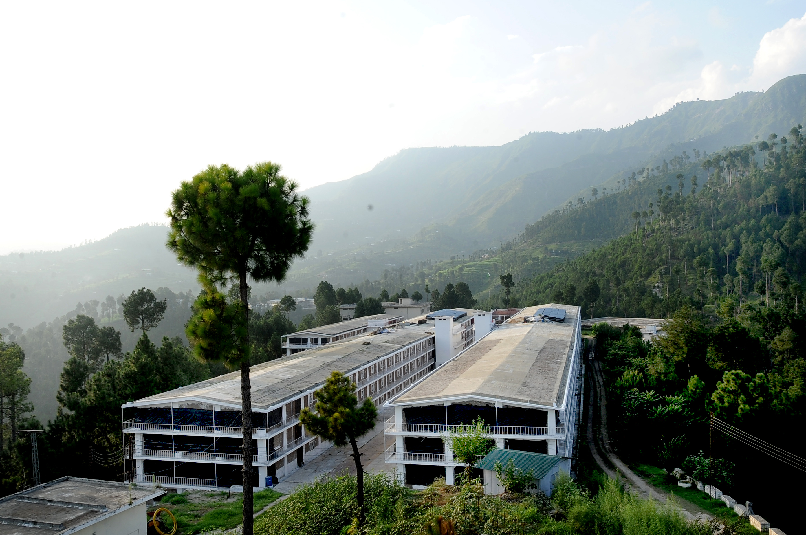 Modern poultry breeding farm interior