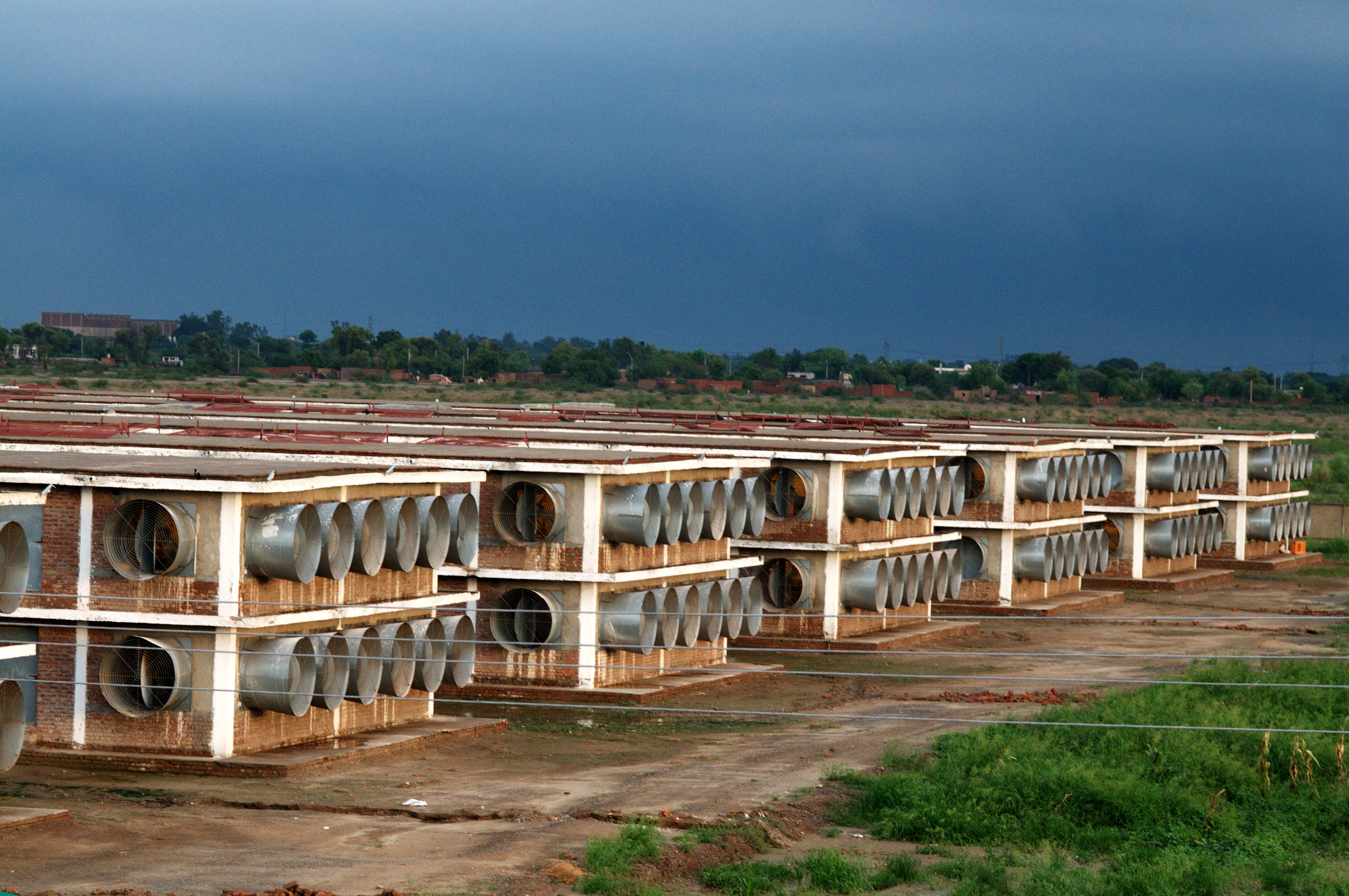 Breeding farm bio-security setup